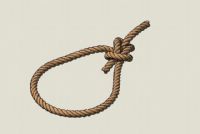 ������SUģ��